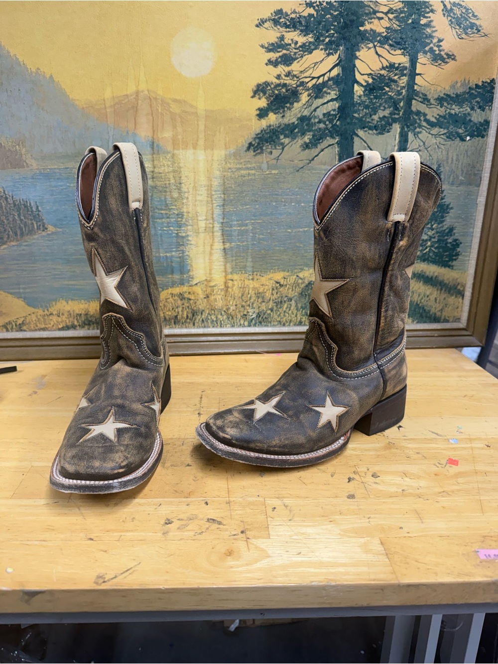 Colt Ford, Seeing Stars,  Brown Distressed Western Cowboy Boots women’s 6.5